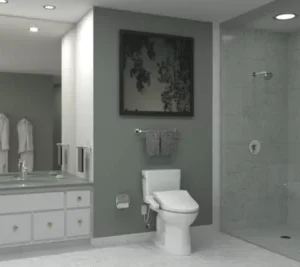 WASHLET® A2 - Elongated