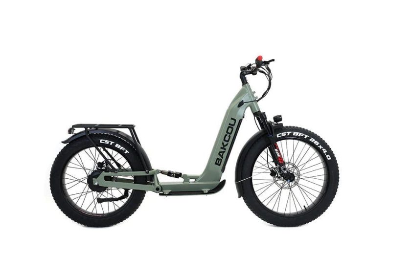 Bakcou Grizzly Electric Scooter 48V 21Ah 1000W Rear Hub Motor Full Suspension All-Terrain Fat Tires - Image 2