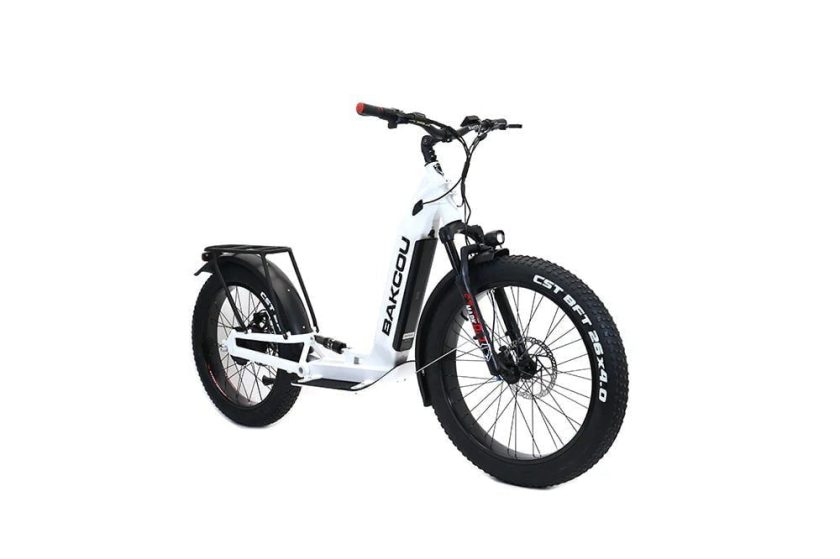 Bakcou Grizzly Electric Scooter 48V 21Ah 1000W Rear Hub Motor Full Suspension All-Terrain Fat Tires - Image 7