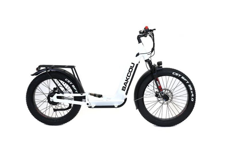 Bakcou Grizzly Electric Scooter 48V 21Ah 1000W Rear Hub Motor Full Suspension All-Terrain Fat Tires - Image 3